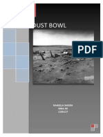 Dust Bowl: Raheela Sheikh MBA-90 1166117