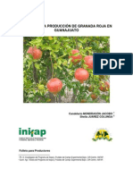 Folleto para Productores