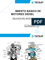 Organos Del Motor