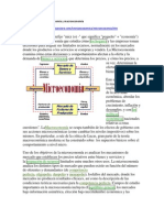 Diferencia Entre Microeconomía y Macroeconomía