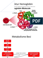 Struktur Hemoglobin,Sintesis Heme, Dan Met Besi