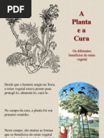 A Planta e a Cura