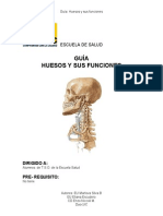 2 - Guia de Huesos