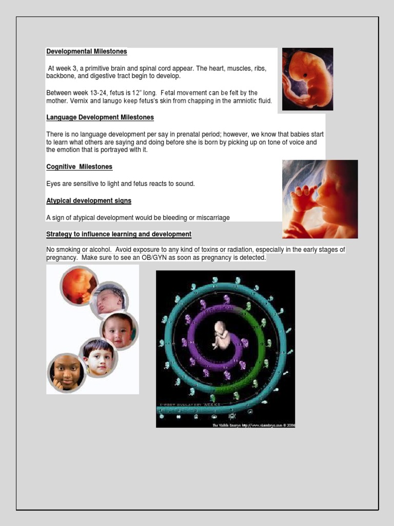 Prenatal 1 | PDF