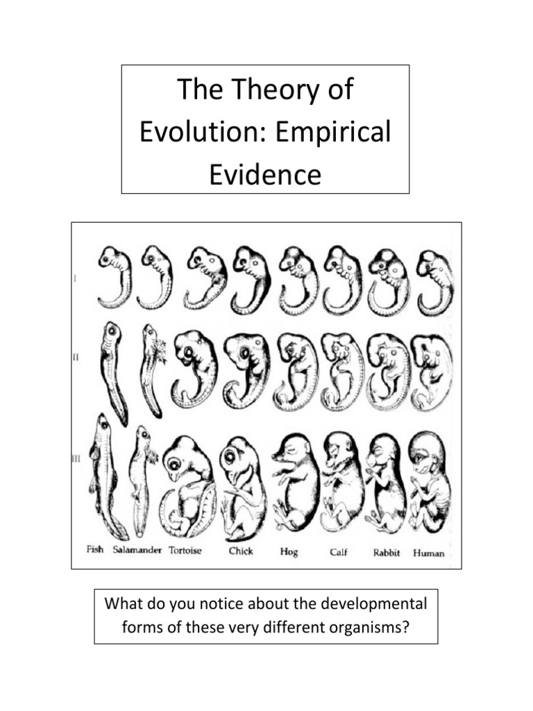 Evolution Evidence: Fossils & Genetics | PDF | Philosophy