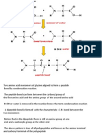 Polypeptide s