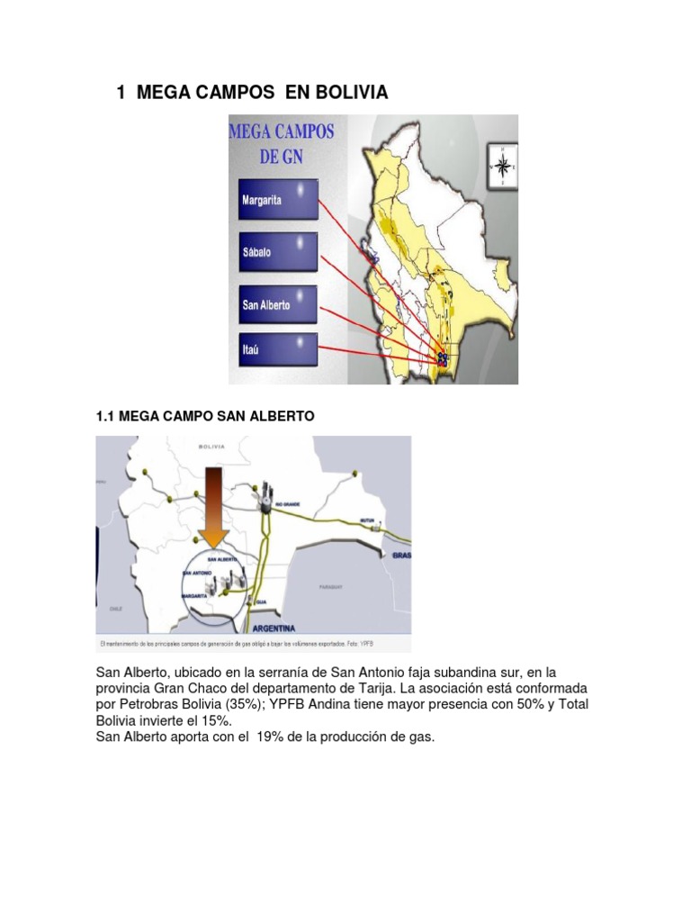 Mega Campos de Gas en Bolivia | PDF | Petróleo | Bolivia