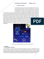 03. Oncogenética