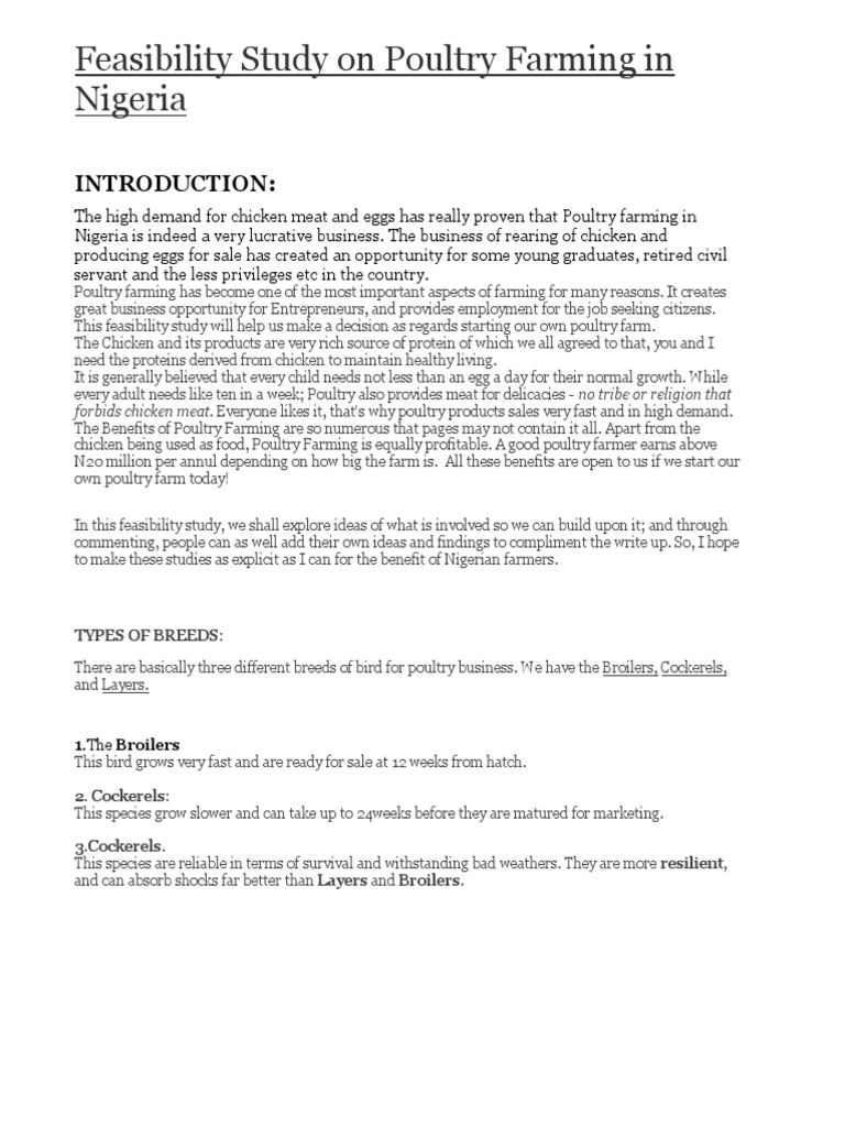 Feasibility Studies On Poultry Farm | PDF | Chicken | Poultry Farming