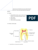 Endodonsia