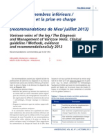 rapport NICE GT SFA.pdf