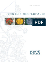 92790170-Flores