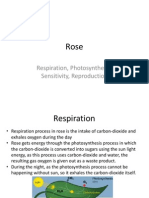 Respiration, Photosynthesis, Sensitivity, Reproduction