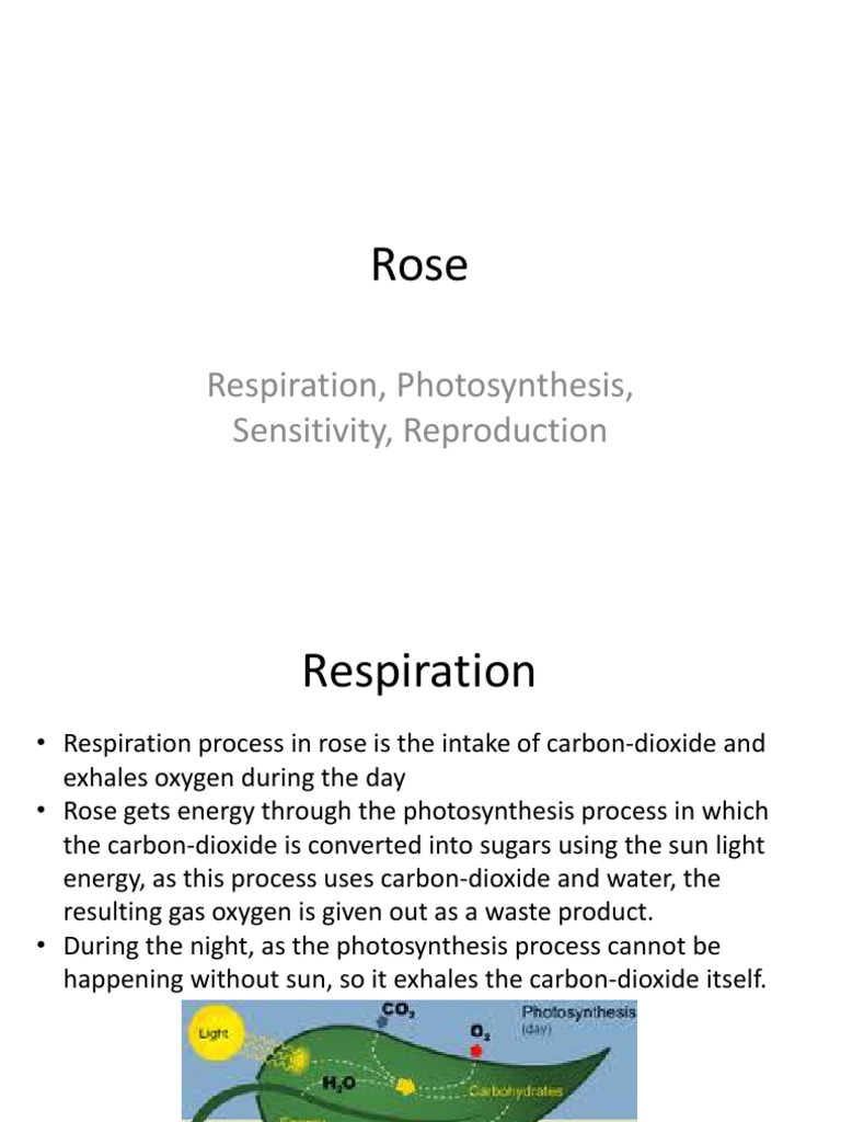 Respiration, Photosynthesis, Sensitivity, Reproduction | PDF | Science ...