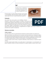Sistema Sensorial - PDF 3