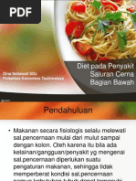 Download Diet Pada Penyakit Saluran Cerna Bagian Bawah by Deden Aldila Zulkhida SN217225419 doc pdf
