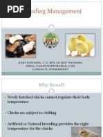 Broiler Record Shee1 | PDF | Technology & Engineering