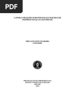 Download Transformasi by Hana Greeno SN217243246 doc pdf