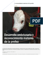 Desarrollo Embrionario y Reconocimiento Materno de La Preñez