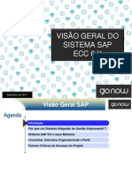 visaogeral-sistemaerpsap-110925142641-phpapp02.pdf