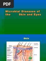 Microbial Diseases of The Skin & Eyes