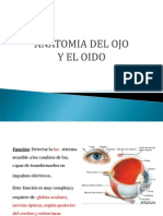 Anatomia Del Ojo