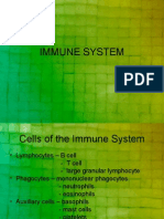 Immune System 2