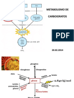 02-20-2014 Carboidratos Glicólise Fermentação