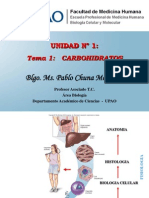 Tema 1 Carbohidratos
