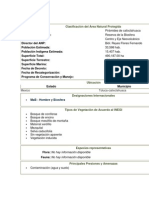 Piramides de Calis Clasificcaion