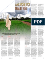 Rice Today Vol. 13, No. 2 Where Latin America's Rice Gets A Baptism by Fire