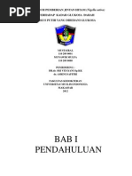 Download JINTANHITAMNigellaSativabyNahdhiahSN217368340 doc pdf