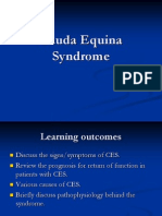 Cauda Equina Syndrome