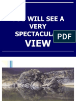 You Will See A Very Spectacular