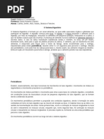 Trabalho Sistema Digestorio