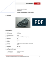 Tugas I Endapan Mineral