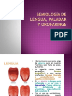 Semiología de Lengua, Paladar y Orofaringe