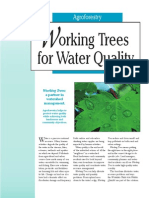 Orking Trees For Water Quality: Agroforestry