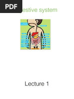 Download Digestive System by SaraAl-Nofaili SN217428736 doc pdf