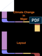 Climate Change Challenges in Niger