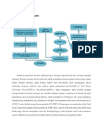 Patofisiologi Demam