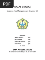 Download TUGAS BIOLOGI Laporan Hasil Pengamatan Sel by Octaviani Mulyati SN217443818 doc pdf