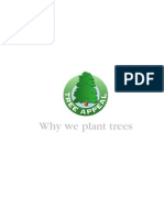 Why We Plant Trees