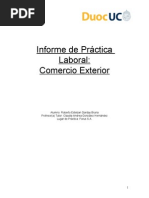 Informe de Práctica Laboral