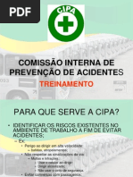 CIPA 2013 TREINAMENTO