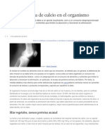 La Deficiencia de Calcio en El Organismo PDF