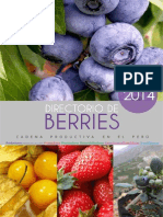 Cadena Productiva Berries - Perú