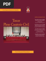 III+Pleno+Casatorio+Civil