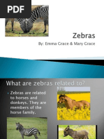 Zebras by Mary Grace and Emma Grace