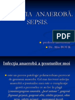 Prezentatia Infectia Anaeroba. Sepsis (Slaid 58)